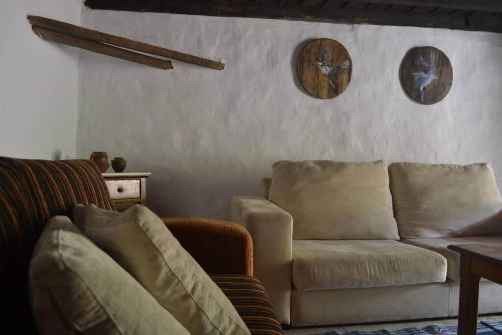 Casa Rural Lomito Del Pino Tejeda  Extérieur photo