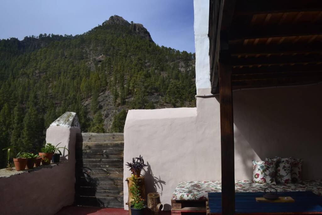 Casa Rural Lomito Del Pino Tejeda  Extérieur photo