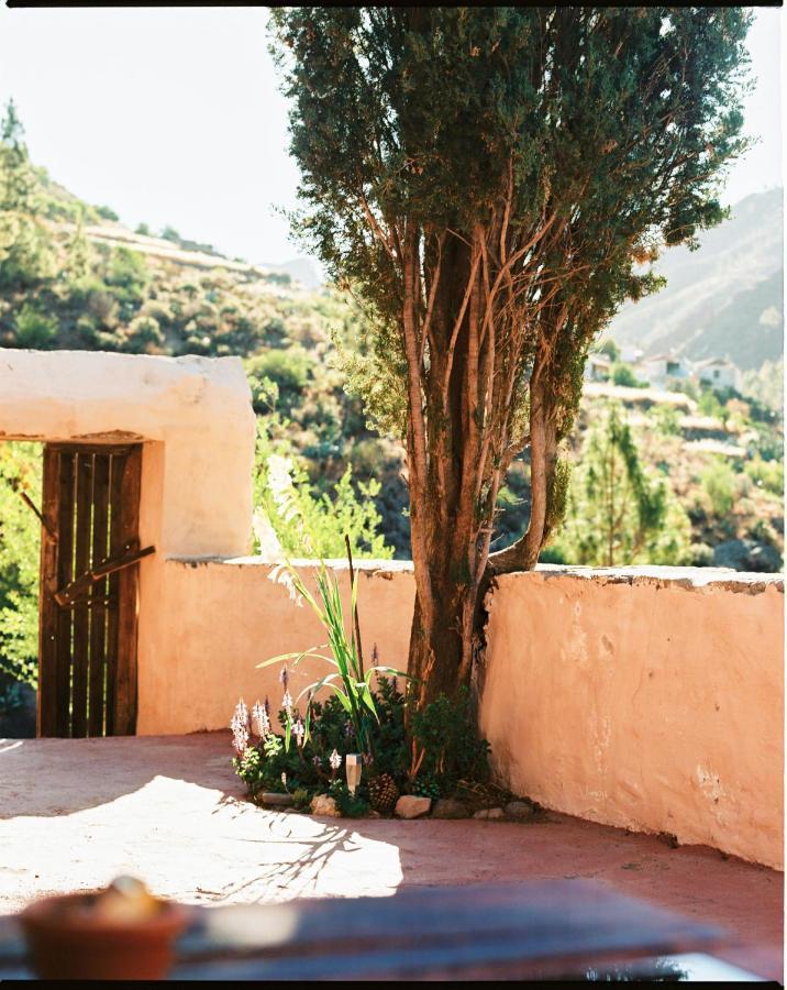 Casa Rural Lomito Del Pino Tejeda  Extérieur photo