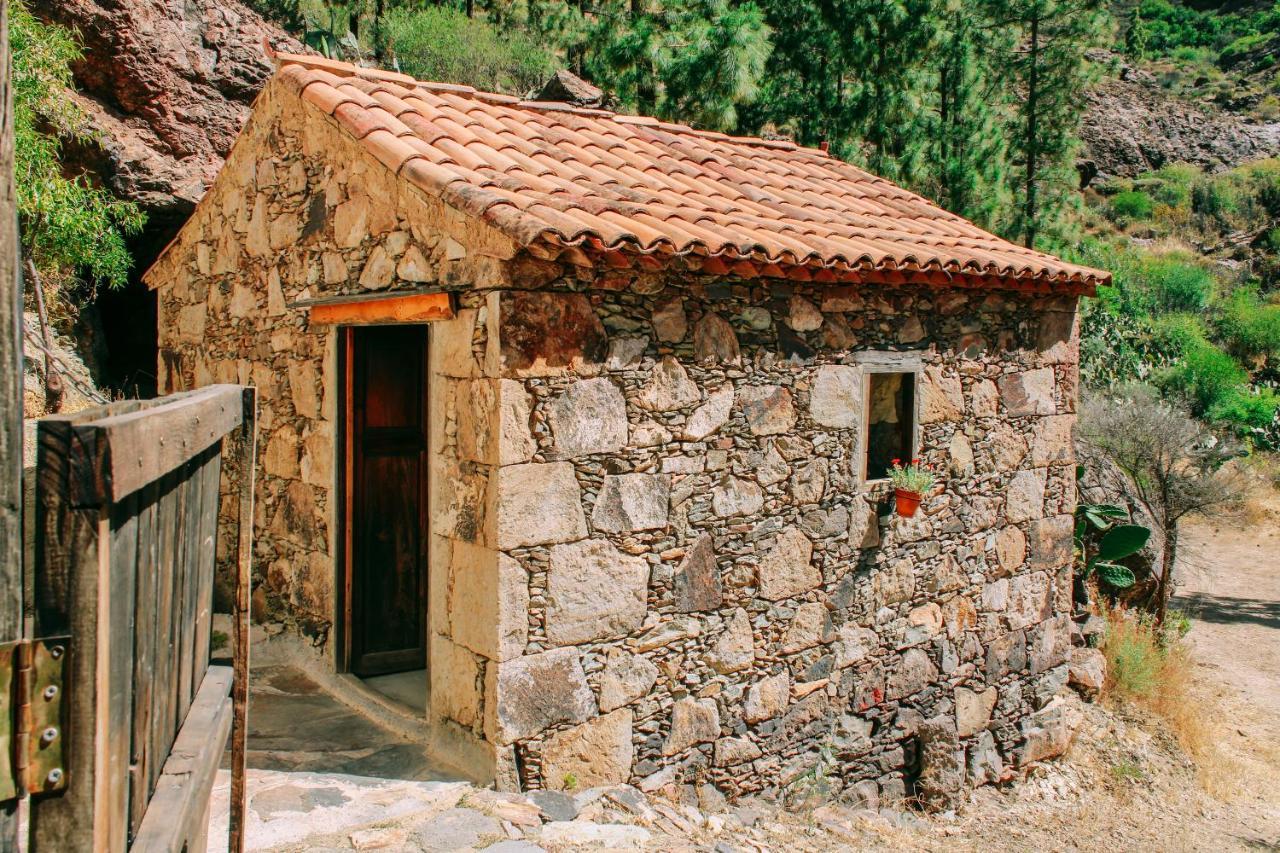Casa Rural Lomito Del Pino Tejeda  Extérieur photo